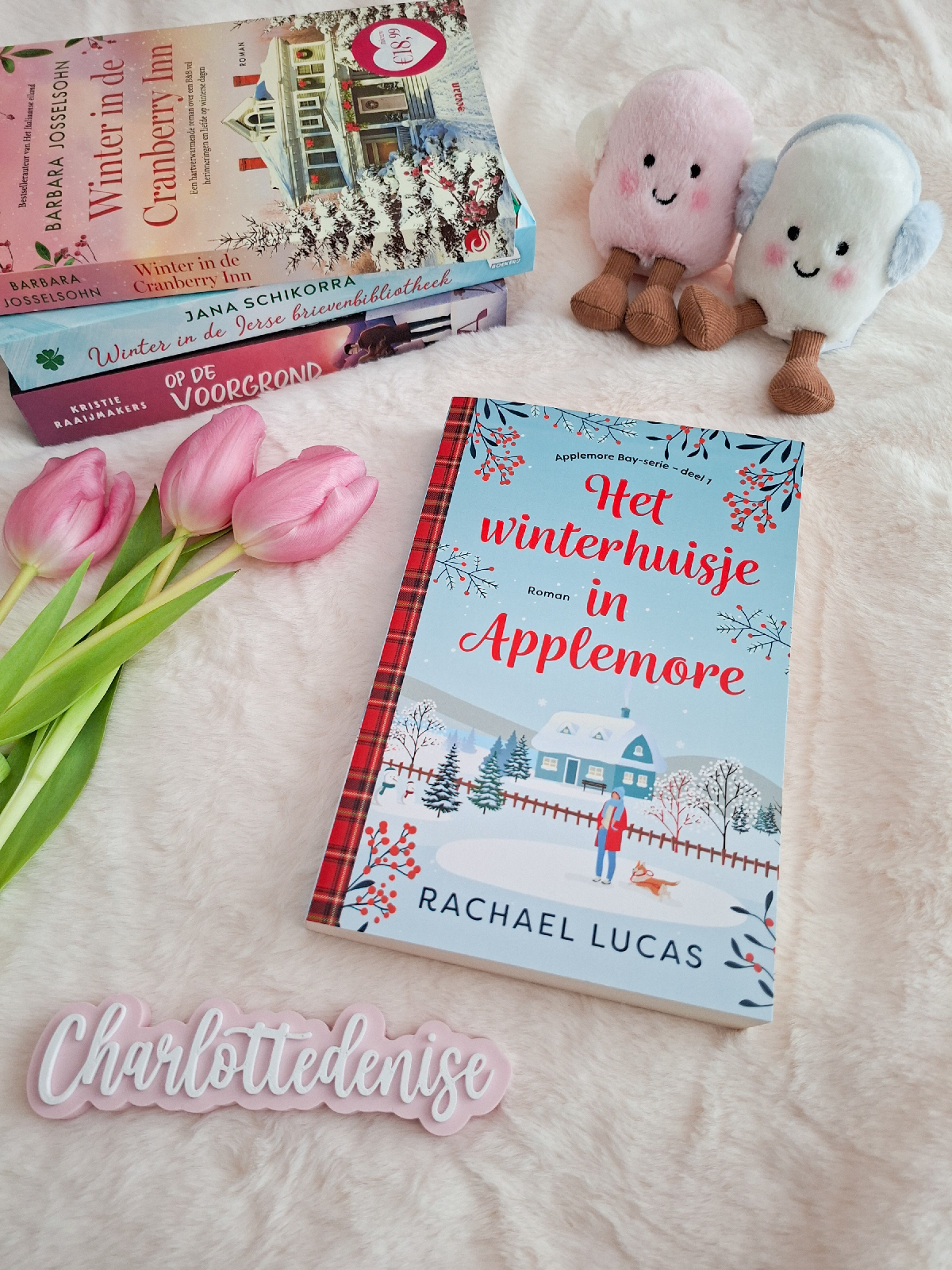 Boekrecensie: Het winterhuisje in Applemore